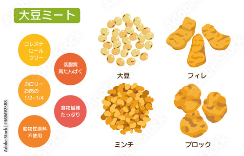 様々な形状の大豆ミートのイラスト(大豆・ミンチ・フィレ・ブロック）