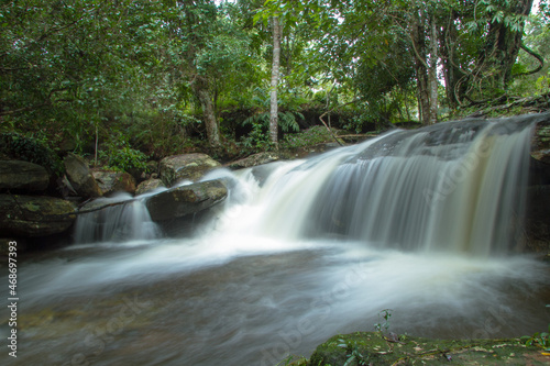 waterfall in the forest