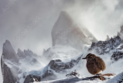 snow covered mountains