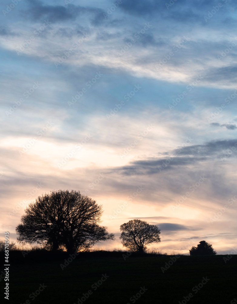 Winter Sunset,English countryside,across green fields,Hampshire,United Kingdom.