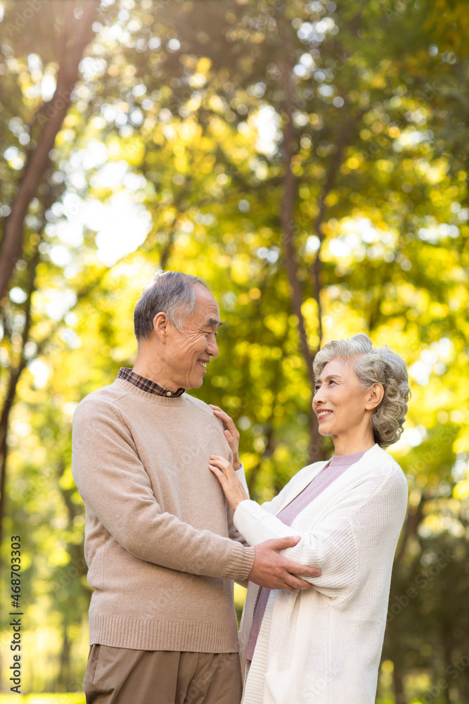 Cheerful senior couple dating in the park Cheerful senior couple dating in the park