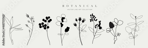 Botanical arts. Hand drawn continuous line drawing of abstract flower, floral, Bird of Paradise, herb, tulip, bouquet of olives. Vector illustration.