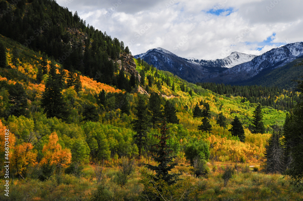 Spectacular fall colors on the slopes of the Rocky Mountains, on the way from Aspen to the Independence Pass, Colorado, USA