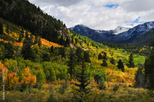 Spectacular fall colors on the slopes of the Rocky Mountains  on the way from Aspen to the Independence Pass  Colorado  USA