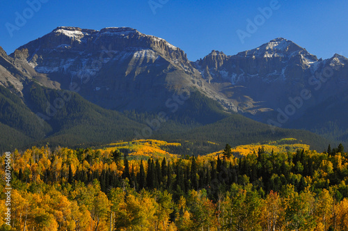 Spectacular fall colors carpet the slopes of the Sneffels Range of the San Juan mountains, as seen from a country road near Ridgway, Colorado, USA