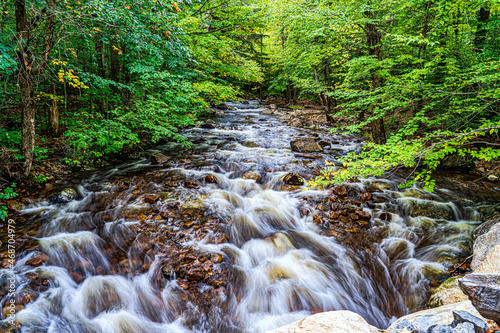 Stream in the forest in the Adirondack State Park photo