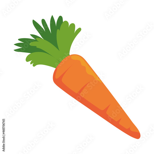 carrot vegetable fresh