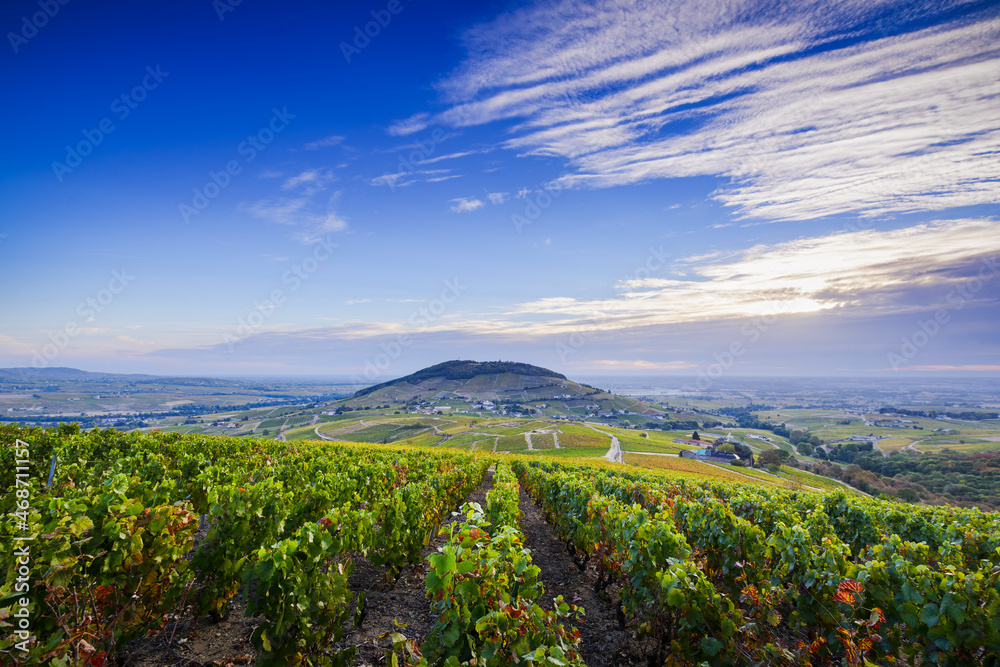 Vue sur le Mont Brouilly et les vignes du Beaujolais, France