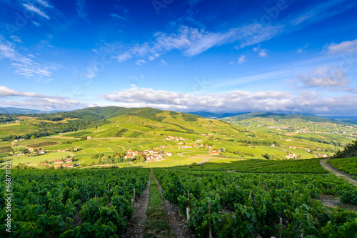 Paysages du Beaujolais autour du Mont Brouilly, France photo