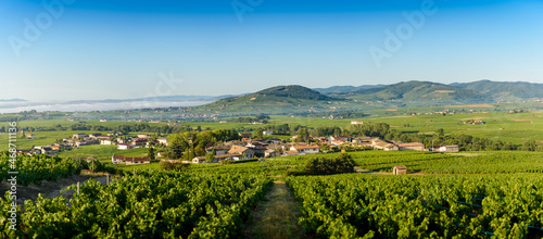 Vue panoramique du Mont Brouilly et des villages de Morgon et Cercié, Beaujolais, France