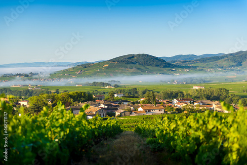 Le Mont Brouilly, et les villages de Cercié et Morgon, Beaujolais, France