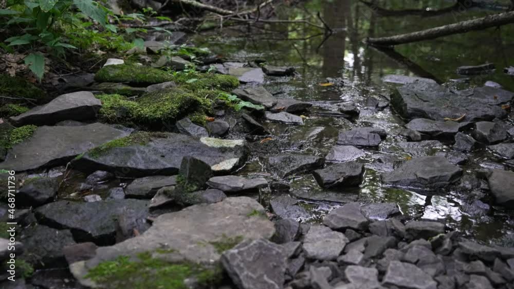 Forest creek river with small black flat stones nature background Forest creek river with small black flat stones nature background