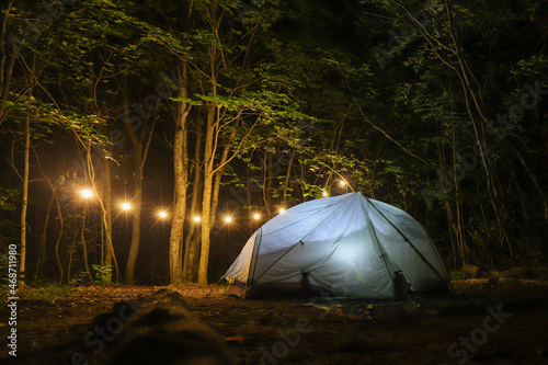 tent in the forest