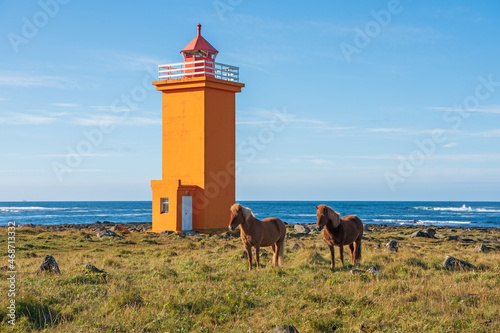 Iceland Horses at the Stafnesviti Lighthouse on Reykjanes Peninsula, Iceland photo