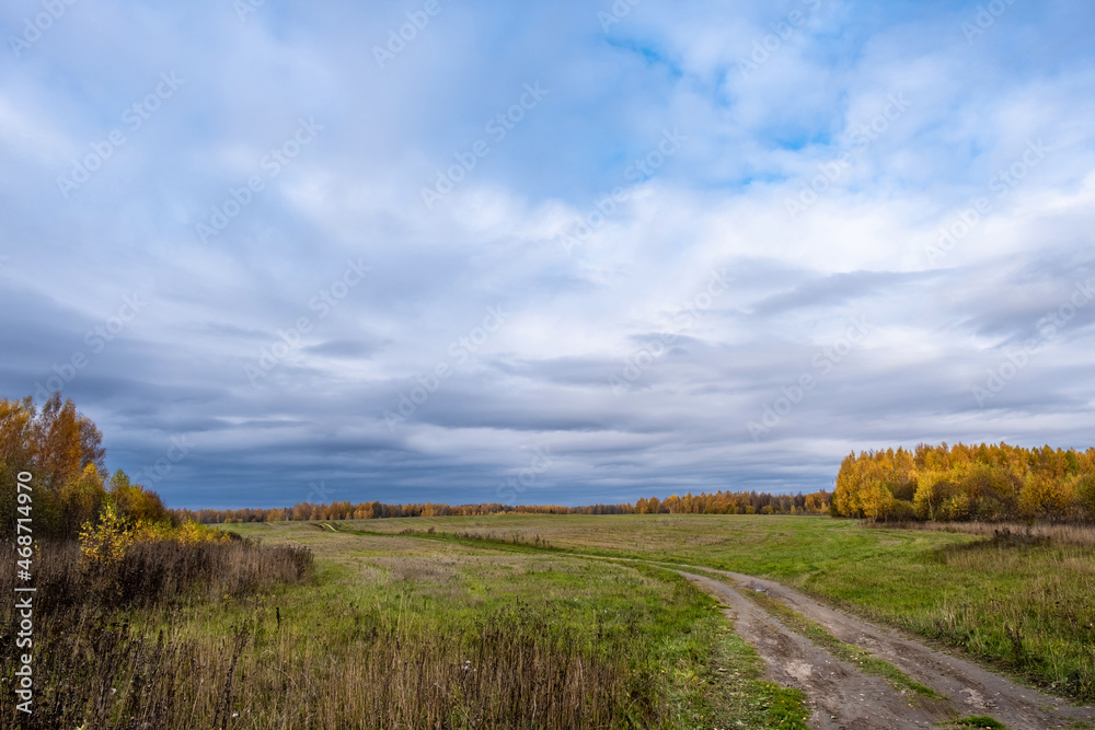 A long dirt road in a large field on a cloudy autumn day.