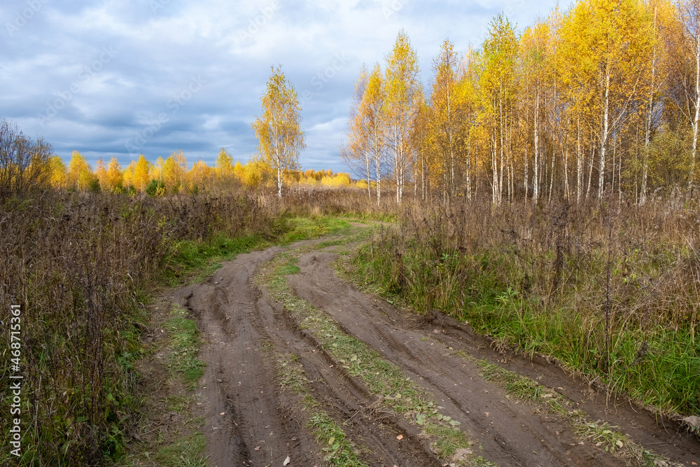 Beautiful autumn landscape with a rural road and trees with yellow leaves. Beautiful autumn landscape with a rural road and trees with yellow leaves.