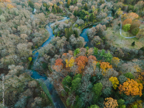 aerial view of the forest © Mian