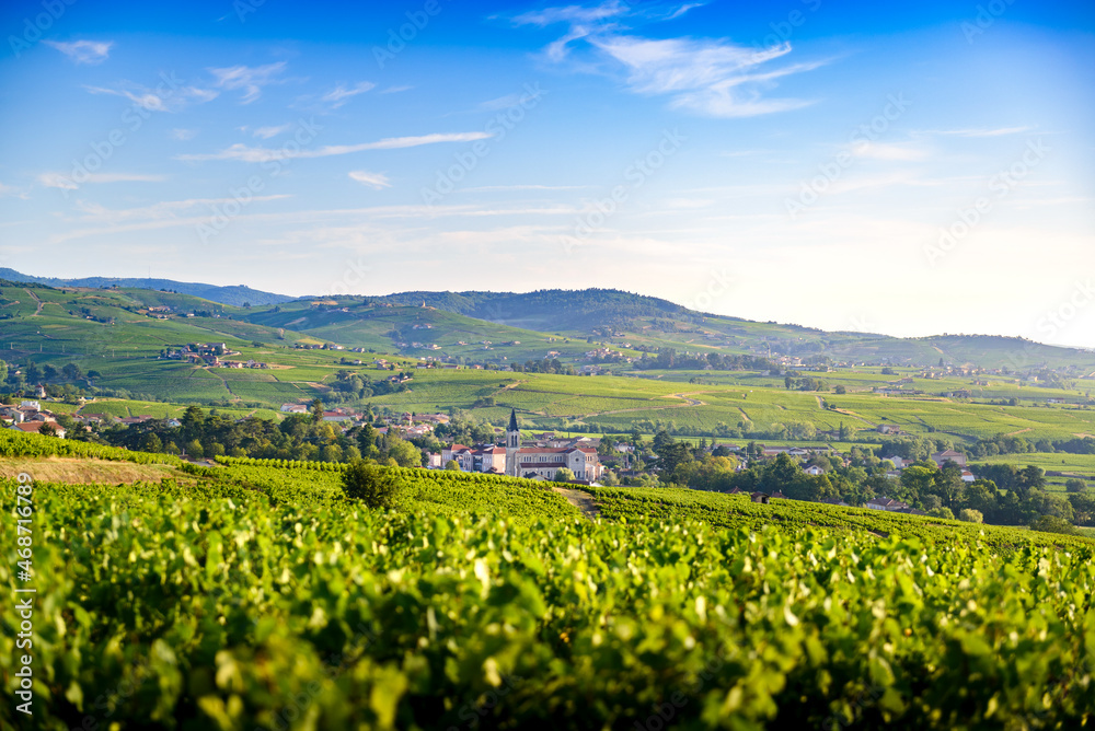 Paysage et vignobles du Beaujolais, Fleurie Chiroubles et Villié-Morgon, France