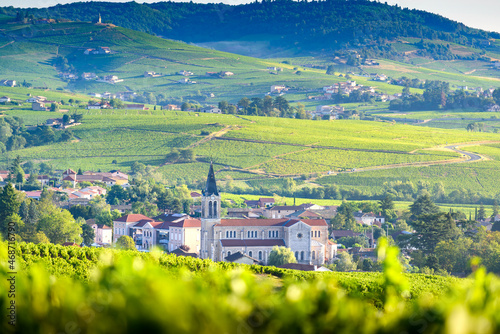 Paysage et vignobles du Beaujolais, Fleurie et Villié-Morgon, France