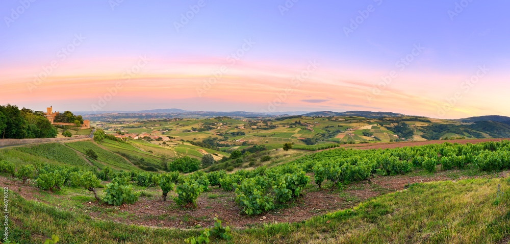 After the sunset, panorama of vineyards of Beaujolais, France