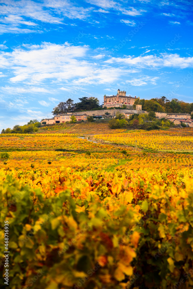 Yellow leaves and castle in Beaujolais land