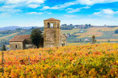 Foto Landscape and colors of Beaujolais at fall