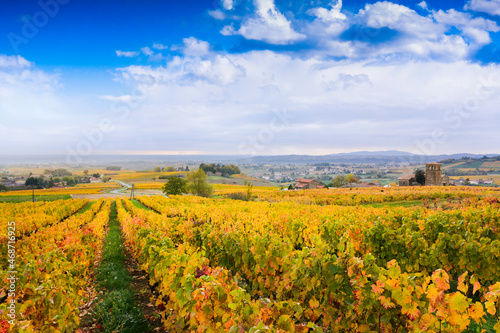 Landscape and colors of Beaujolais at fall