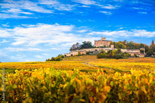 Foto Yellow leaves and castle in Beaujolais land