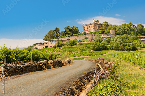 Montmelas castle and vineyard photo