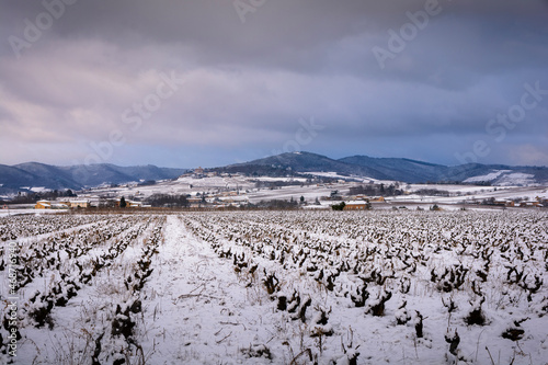 Foto Snowed landscape of Beaujolais with vineyards and Montmelas castle, France