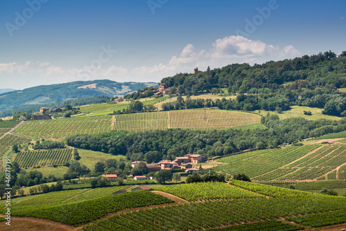 Fotografie Paysage de vignes et Château de Montmelas, Beaujolais, France