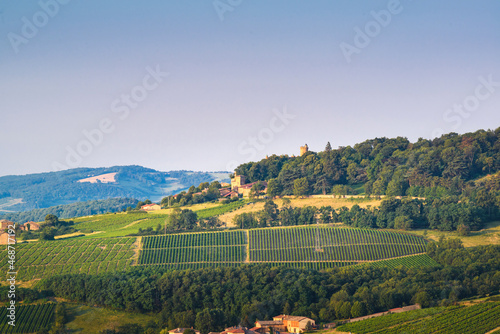 Foto Paysage de vignes et Château de Montmelas, Beaujolais, France