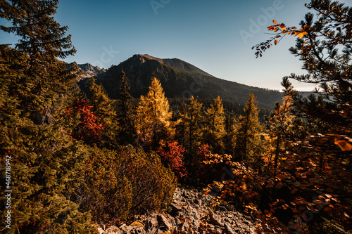 Hiking Strbske lake to popradske lake , very popular hiking destination in High Tatras National park, Slovakia. Autumn color nature . photo