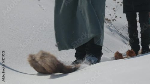 Men walking in ancient fur ski dressed in traditional deel on snow mountain. Hemu Village, Xinjiang, China. Close up slow motion on bright winter day. photo