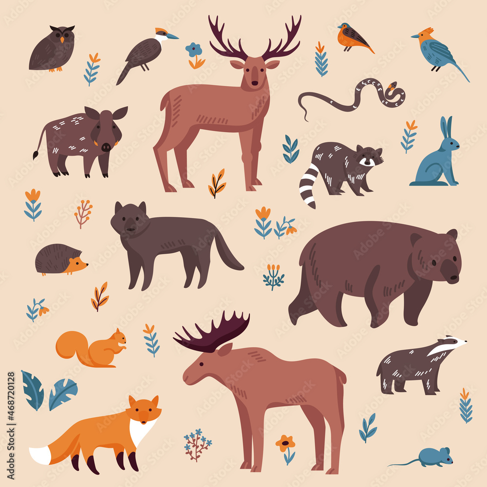Forest Animals Color Set