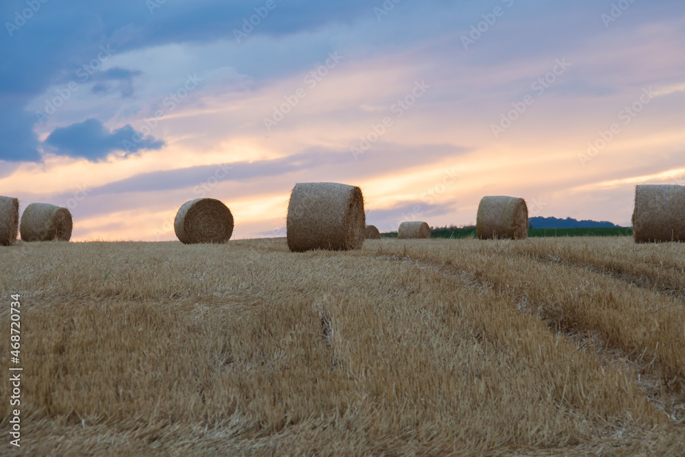 夕暮れの収穫後の丘と麦ロール
