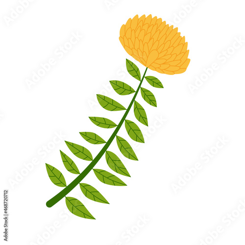 Rhodiola Rosea plant with golden flowers and green leaves. Isolated drawing on white background. Flat vector illustration.