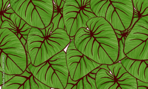green leaves spring nature wallpaper design background