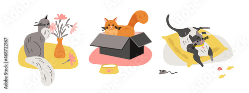 Lovely Cats Compositions Set