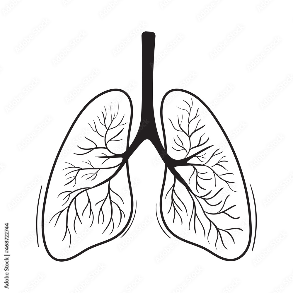Draw the welled label diagram of human respiratory system. - Brainly.in