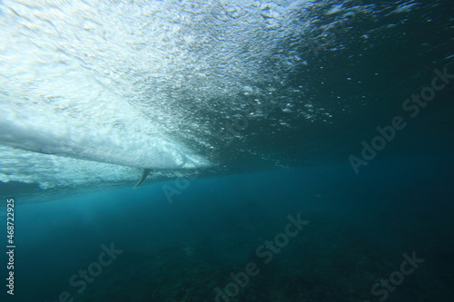 surfer riding a wave viewed from underwater