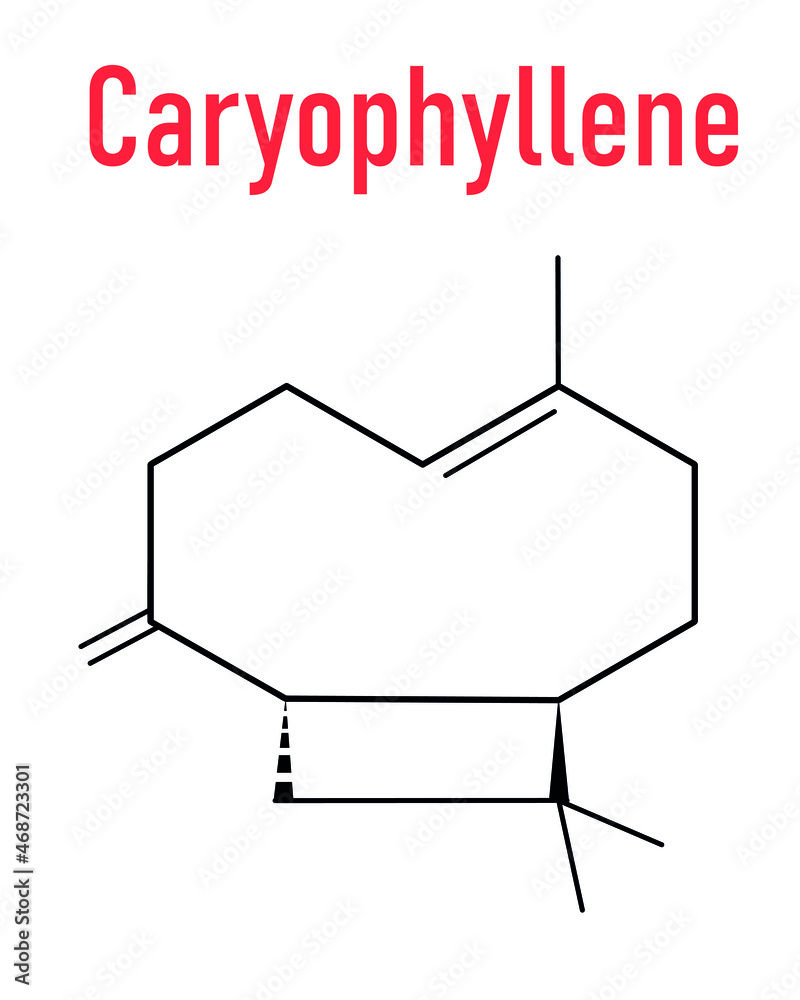 Caryophyllene molecule. Constituent of multiple herbal essential oils, including clove oil. Skeletal formula. Vector illustration Caryophyllene molecule. Constituent of multiple herbal essential oils, including clove oil. Skeletal formula. Vector illustration