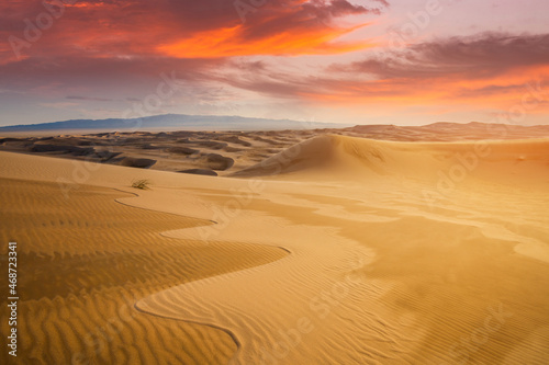 Fototapeta Naklejka Na Ścianę i Meble -  Sunset over the sand dunes in the desert. Arid landscape of the Sahara desert.