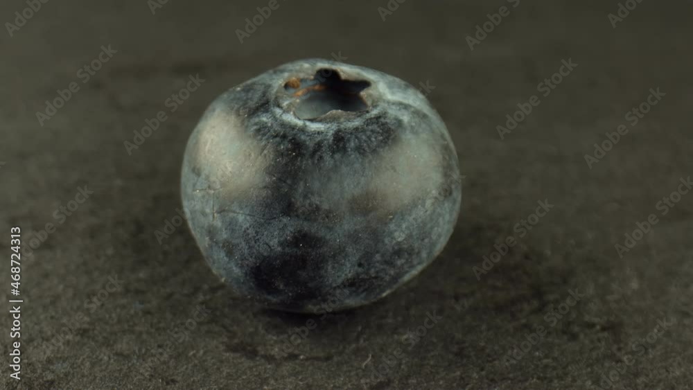 One round blueberry on a rotating table. Sweet blueberries for making raw jam. Cooking concept. Healthy food. High quality. 4k footage. One round blueberry on a rotating table. Sweet blueberries for making raw jam. Cooking concept. Healthy food. High quality. 4k footage.