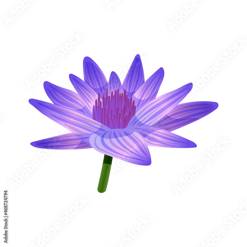 Blue Lotus Flower Composition