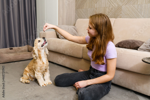 Teenage girl hand feeding her dog in home.