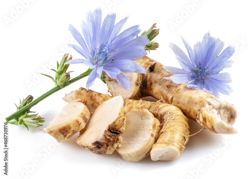 Chicory flowers and roots close up on the white background. photo