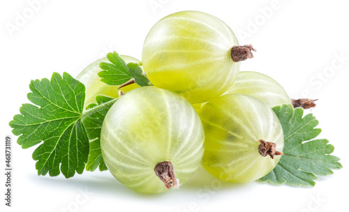 Photos Green ripe gooseberries on white background. Close-up.