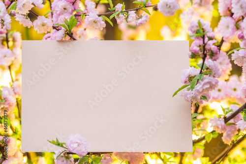 Pink paper blank between flowering almond branches in blossom. Pink flowers as a frame.