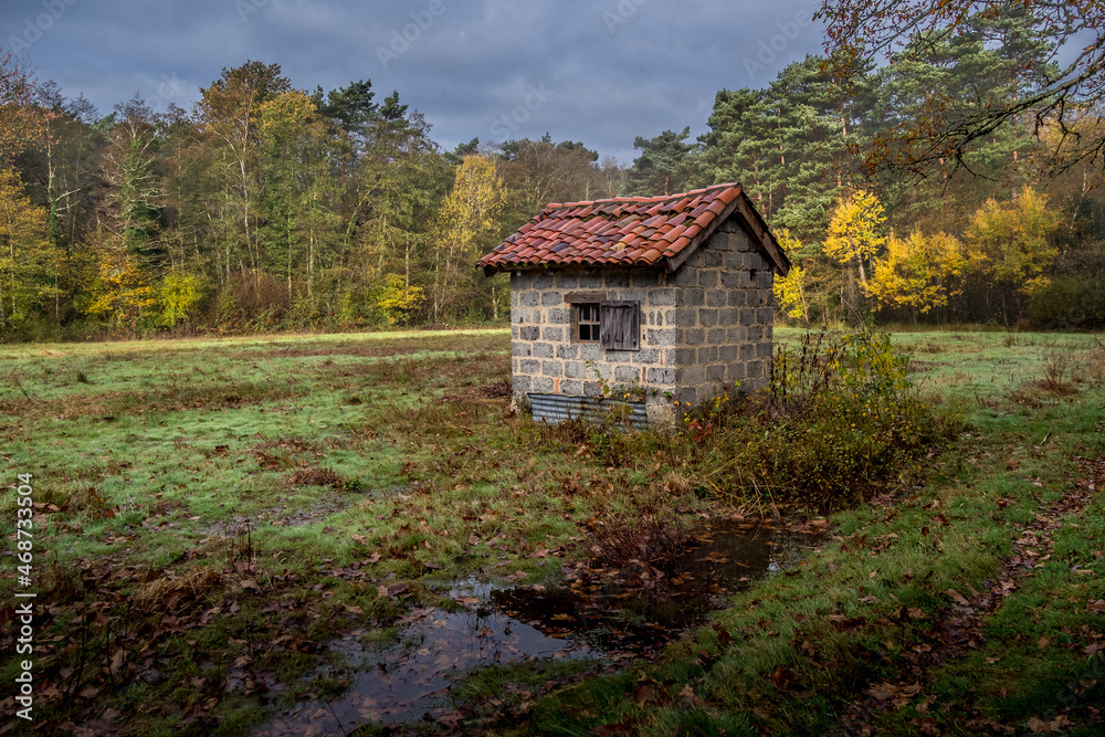 Isolated and abandoned cabin in the forest Isolated and abandoned cabin in the forest